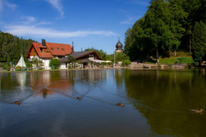 Self-check-in Ferienwohnungen & Apartments am Bergsee Triberg Im Schwarzwald